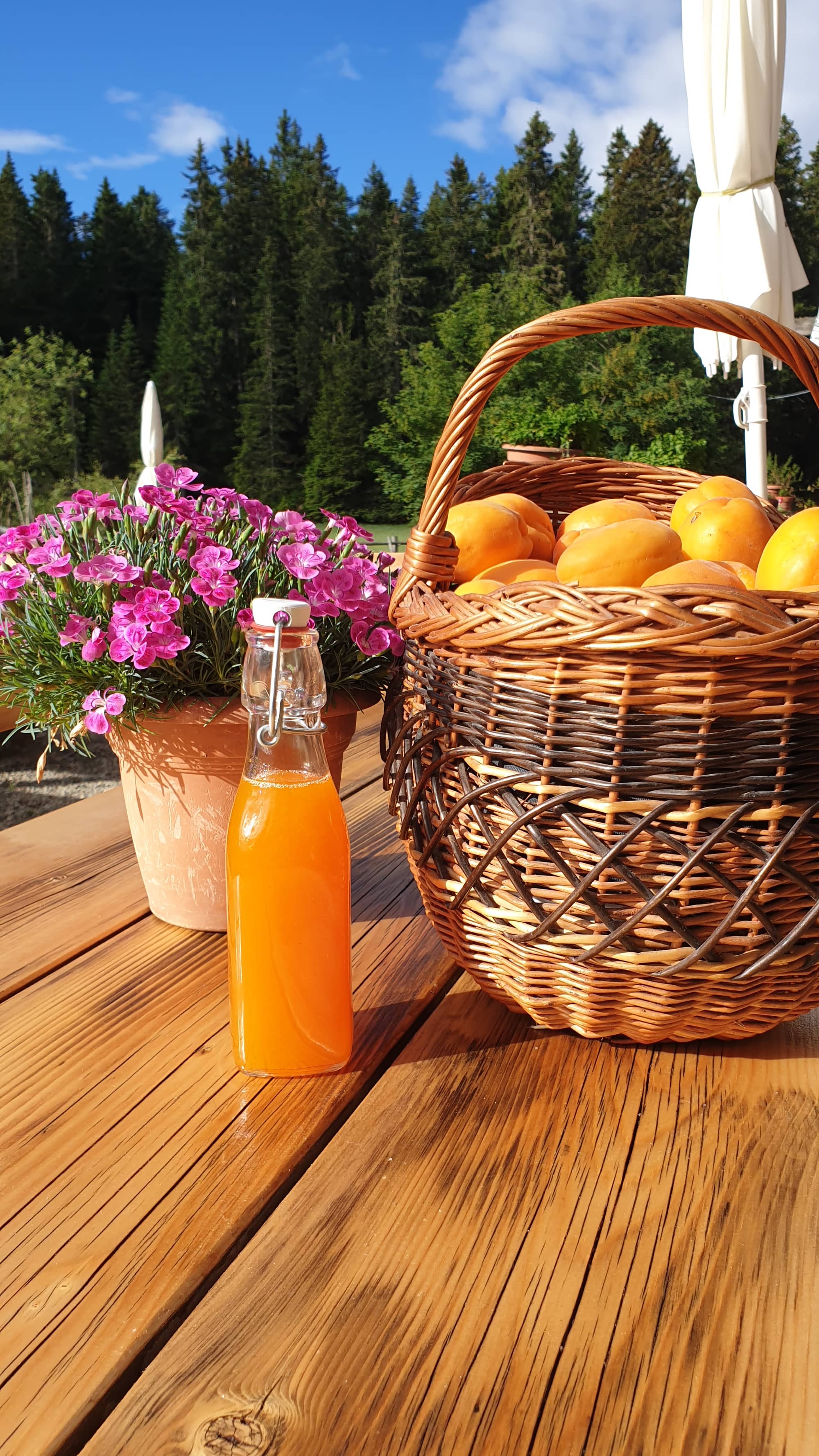 Foto von Gasthaus Seespitz
